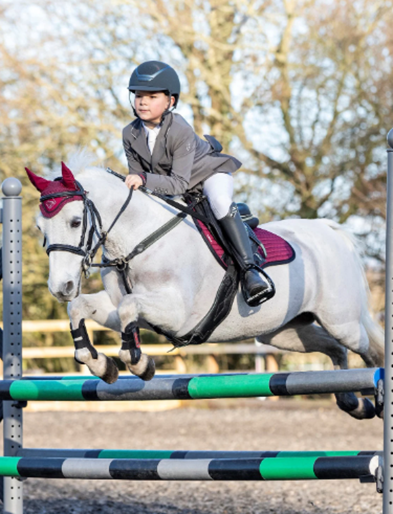 LeMieux Junior Pro Fly Veil Burgundy-1